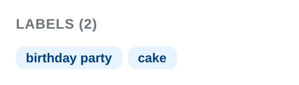 A photo detail section showing birthday party and cake labels