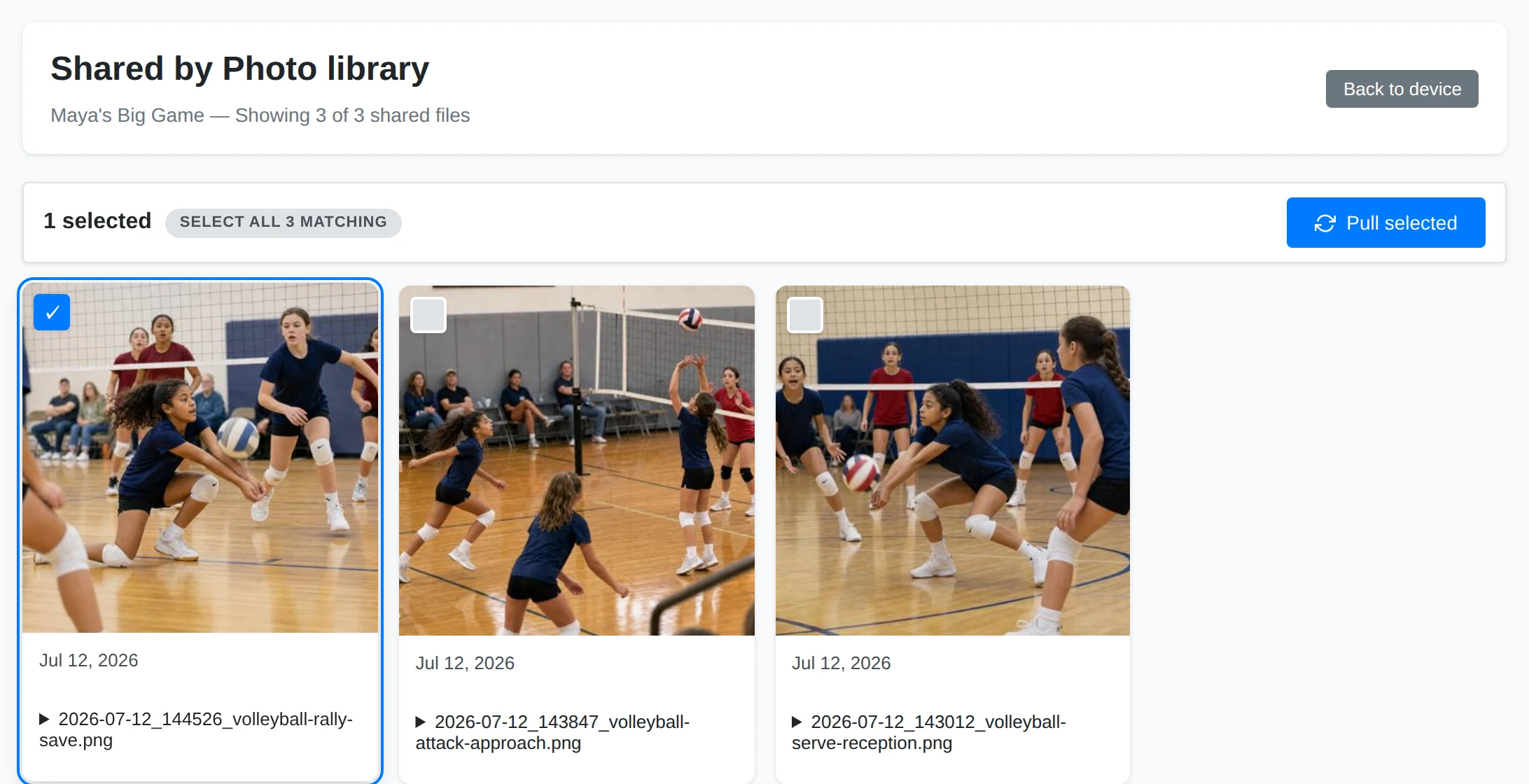The shared volleyball album with one photo selected for pulling